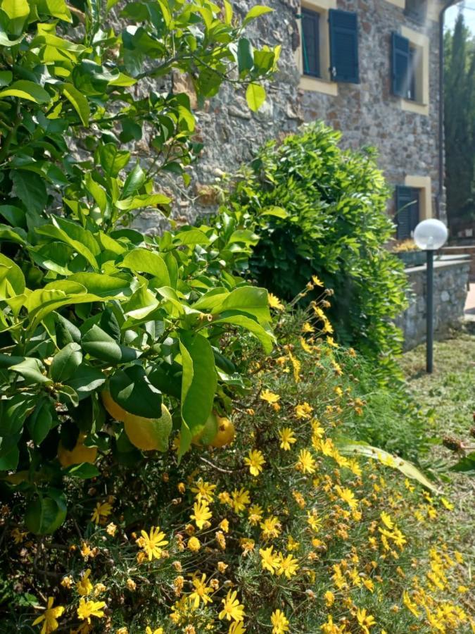 Villa Il Fontolo Ponzano Superiore Exterior foto