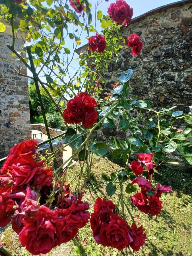 Villa Il Fontolo Ponzano Superiore Exterior foto
