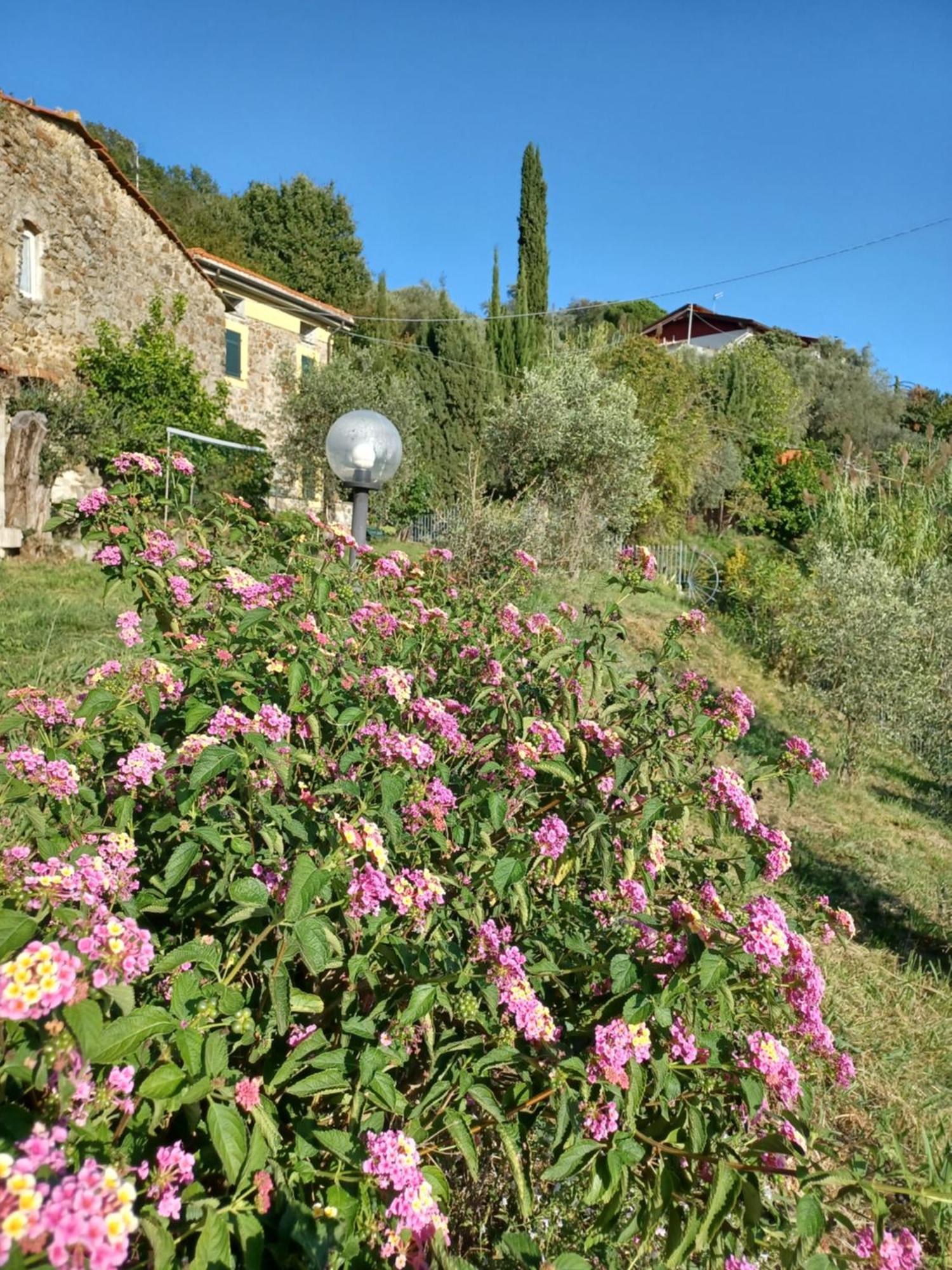 Villa Il Fontolo Ponzano Superiore Exterior foto