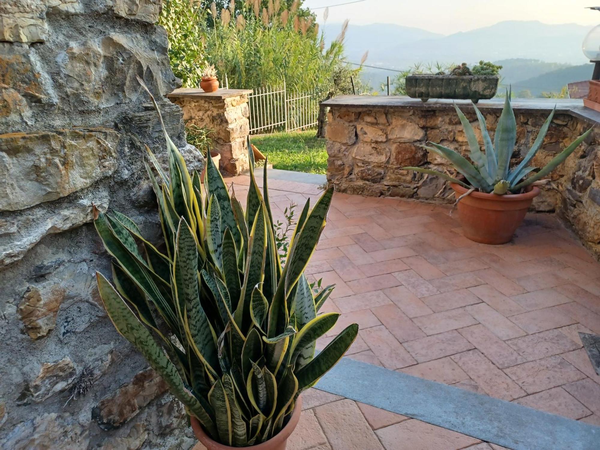Villa Il Fontolo Ponzano Superiore Exterior foto